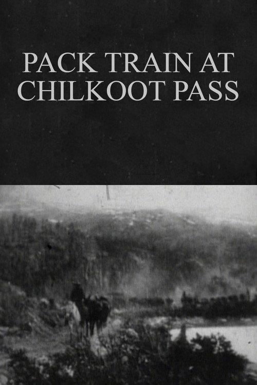 Pack Train at Chilkoot Pass backdrop