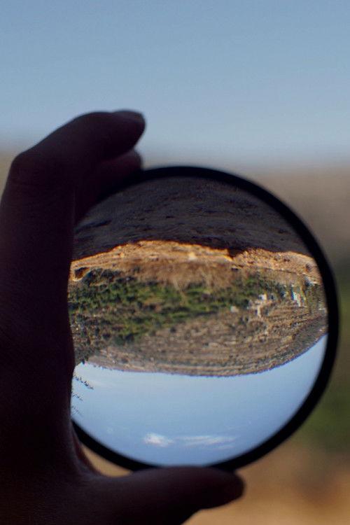 The Sun and the Looking Glass – for one easily forgets but the tree remembers backdrop