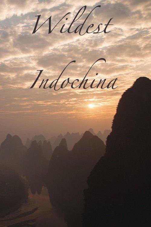 Wildest Indochina backdrop