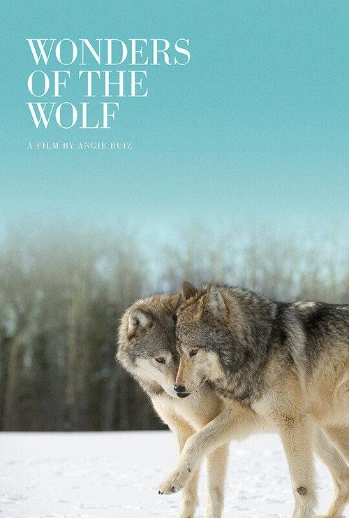 Wonders of the Wolf backdrop