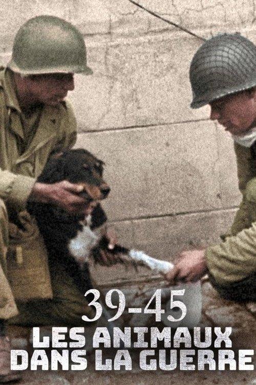 Animals at War, Wild Heroes of World War II backdrop
