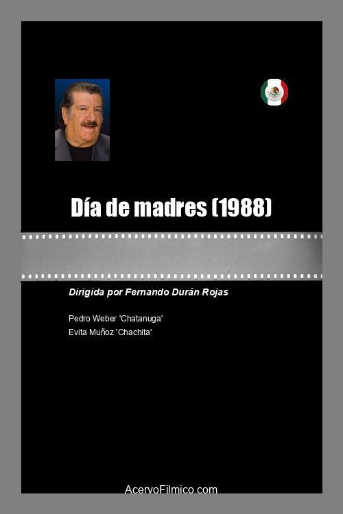 Dia de Madres backdrop