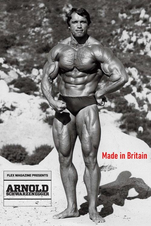 Arnold: Made in Britain backdrop