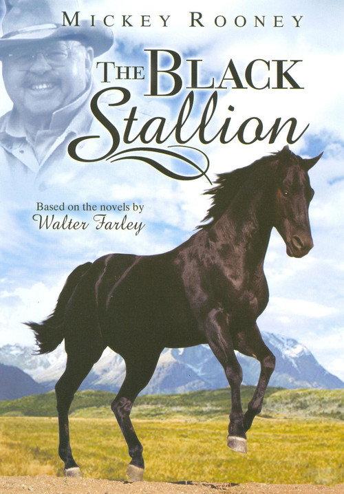 The Adventures of the Black Stallion backdrop