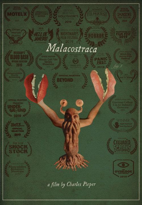 Malacostraca backdrop