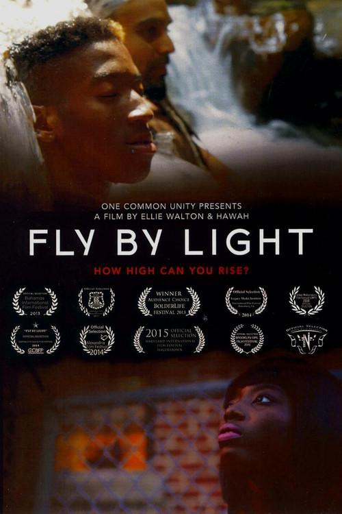Fly by Light backdrop