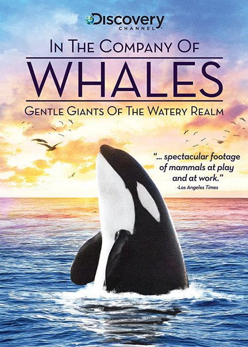 In the Company of Whales backdrop