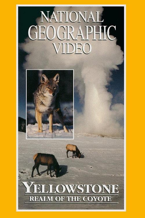 Yellowstone: Realm of the Coyote backdrop