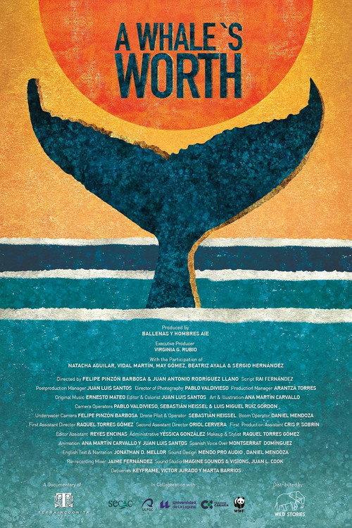 A Whale’s Worth backdrop