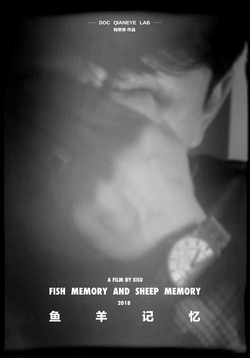 Fish Memory and Sheep Memory backdrop