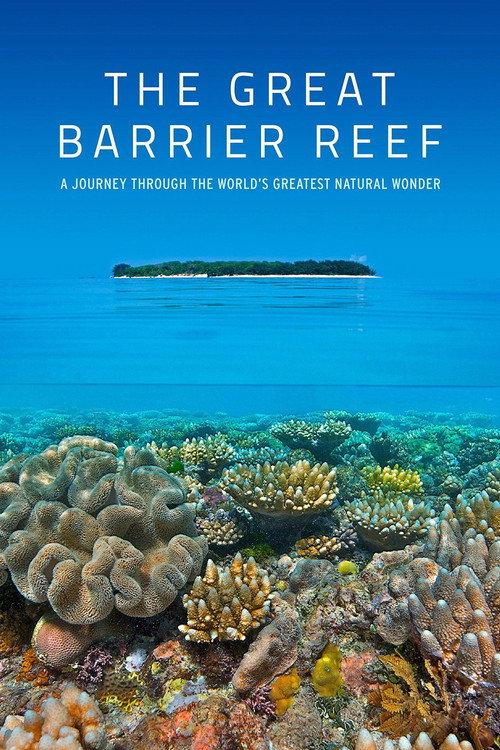 The Great Barrier Reef backdrop