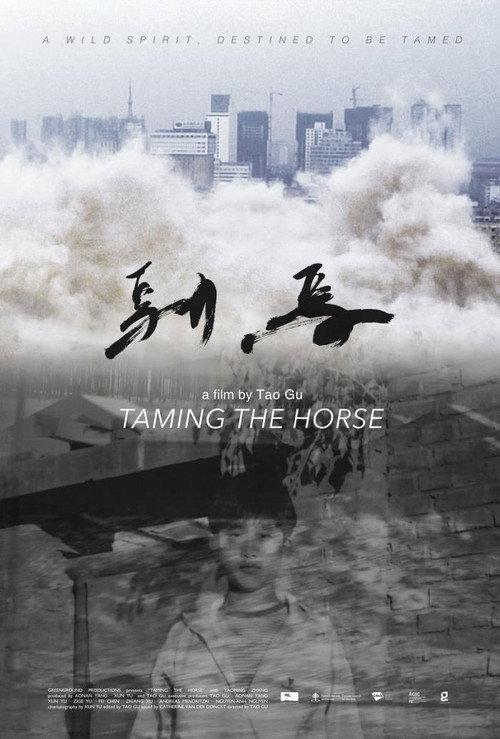 Taming the Horse backdrop