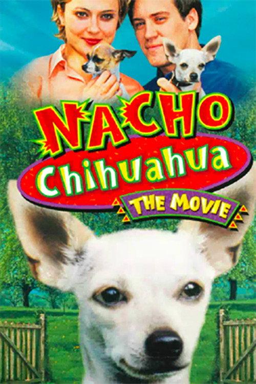 Nacho Chihuahua backdrop