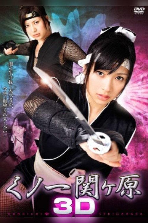 Kunoichi Sekigahara 3D backdrop