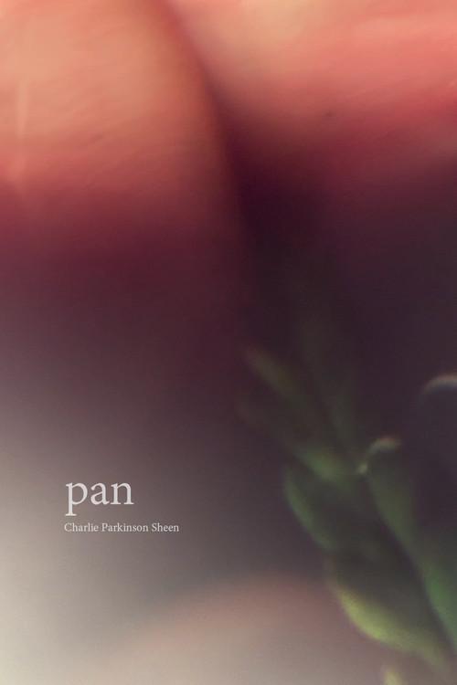 Pan backdrop