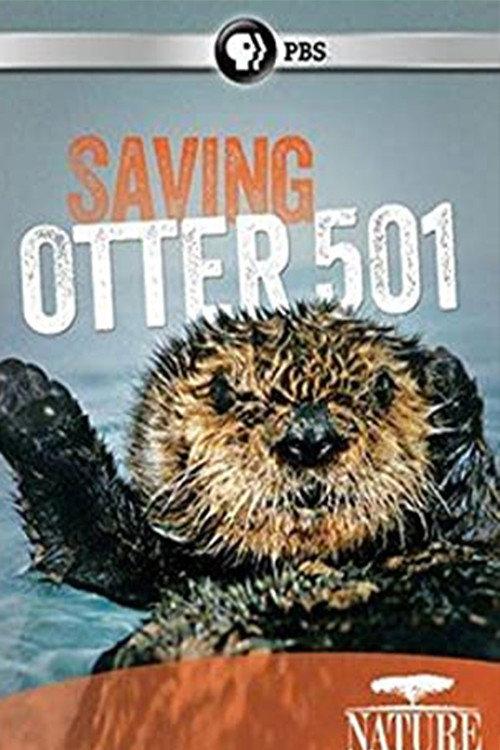 Saving Otter 501 backdrop
