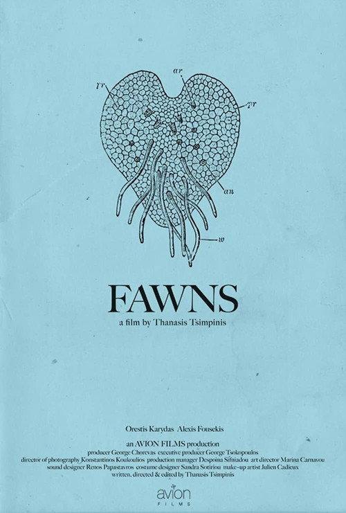 Fawns backdrop