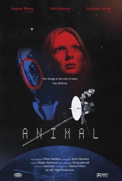 Animal backdrop