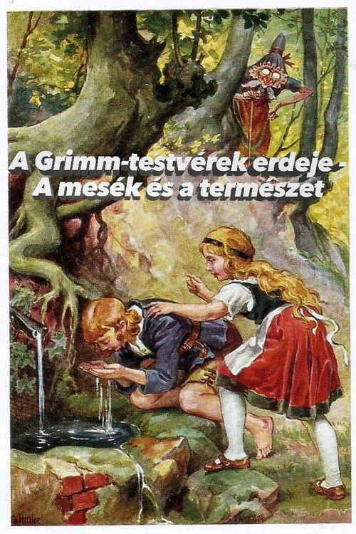 Im Märchenwald der Gebrüder Grimm backdrop