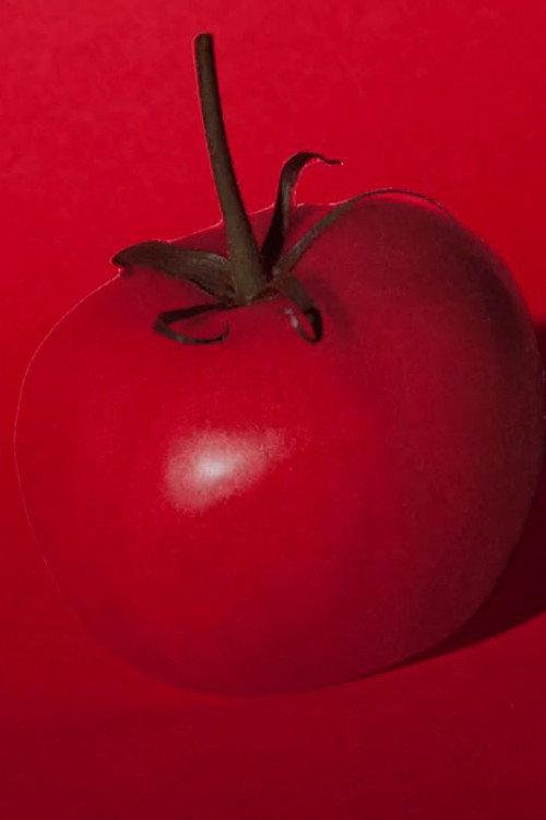 Tomato backdrop