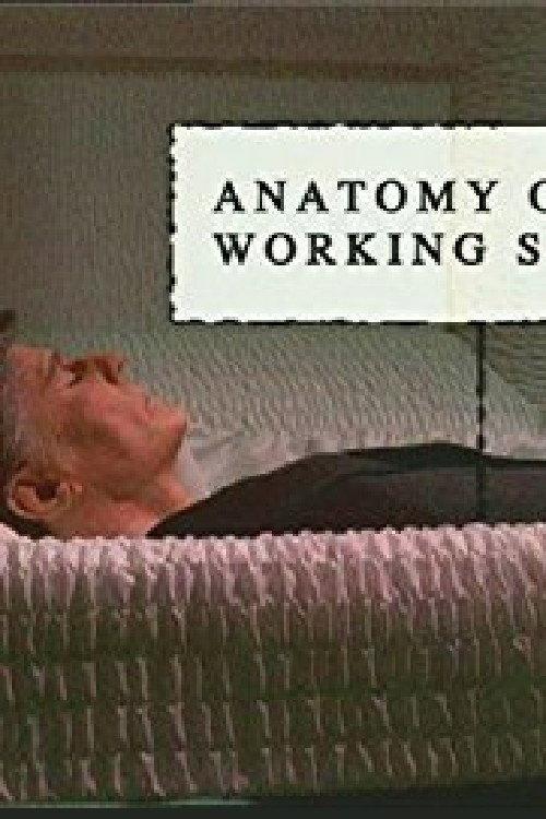 Anatomy of a Working Stiff backdrop