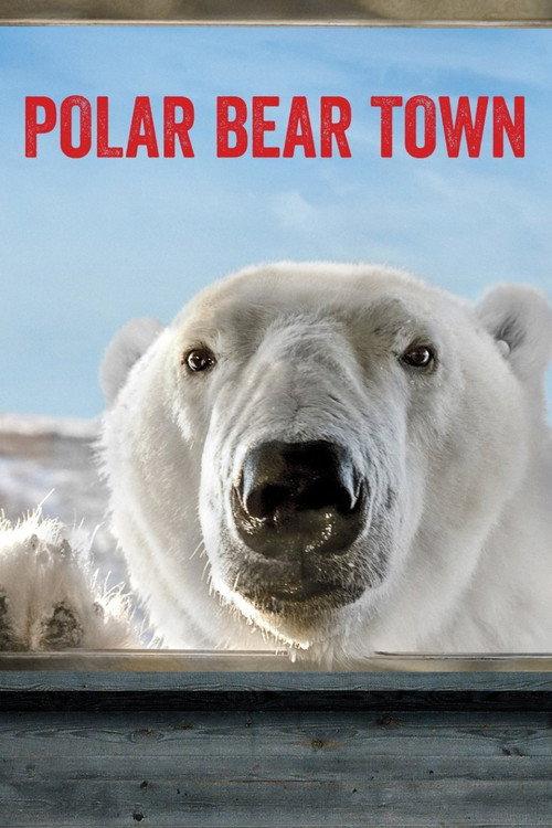 Polar Bear Town backdrop
