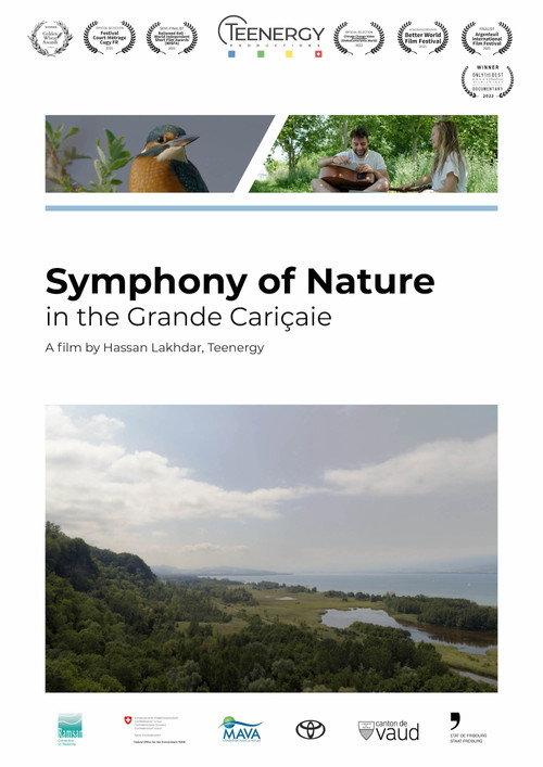 Symphonie de la nature dans la Grande Cariçaie backdrop