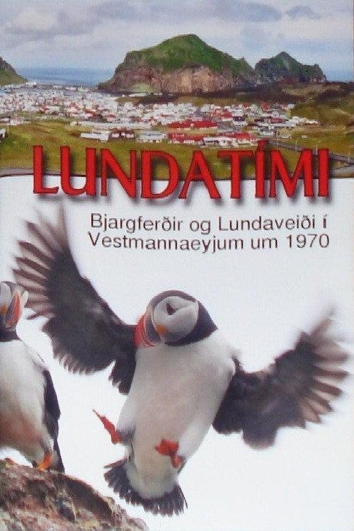 Puffin Season backdrop